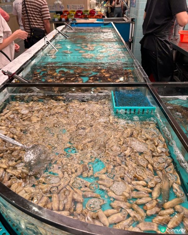 荃灣海鮮自由!🦞 生猛海鮮任撈任煮