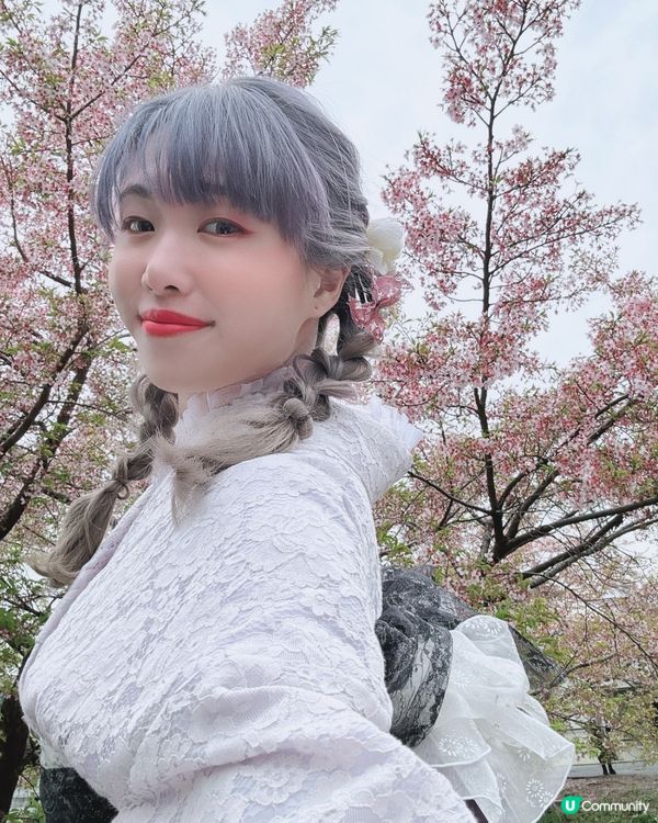 川越小江戶櫻花散策必拍