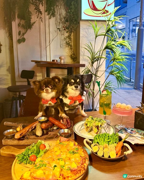墨西哥風情打卡餐廳