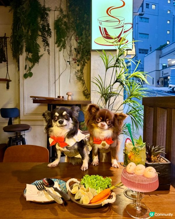 墨西哥風情打卡餐廳