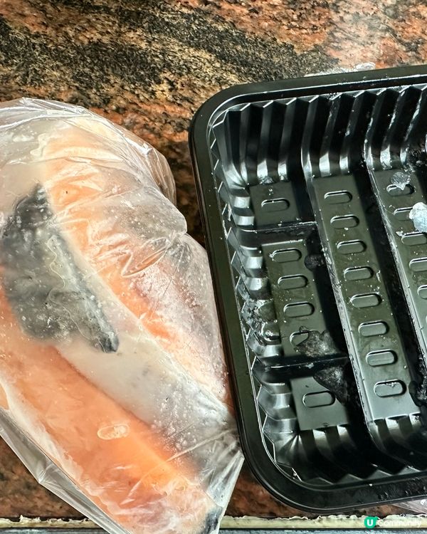 澤興見到三文魚特價俾阿柴狗🐕‍🦺食