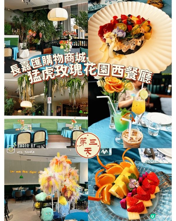 重慶｜食咩好？唔食辣都大把你揀🎉🎉