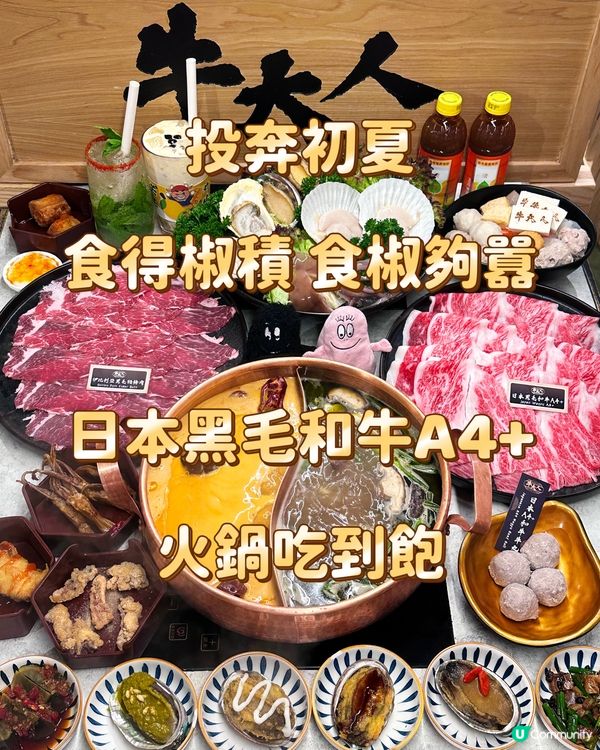 投奔初夏 食得椒積 食椒夠囂 日本黑毛和牛A4+火鍋吃到飽
