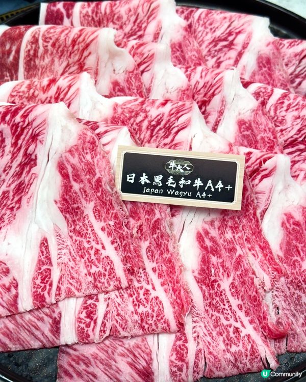 投奔初夏 食得椒積 食椒夠囂 日本黑毛和牛A4+火鍋吃到飽