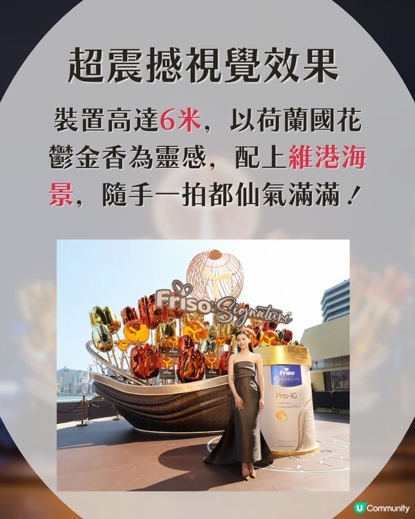 【母親節必去】全港首個6米高巨型鬱金香花束🌷打卡一流！