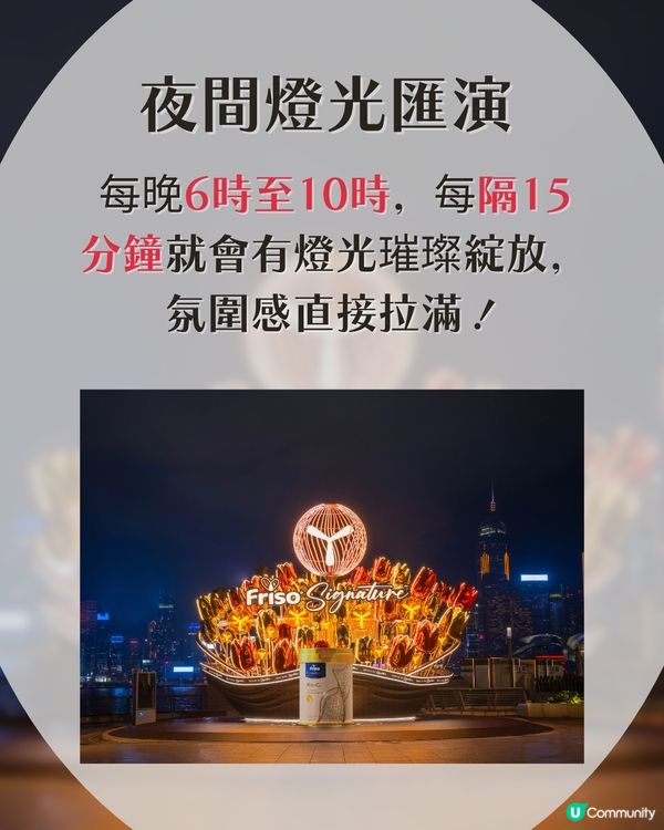 【母親節必去】全港首個6米高巨型鬱金香花束🌷打卡一流！