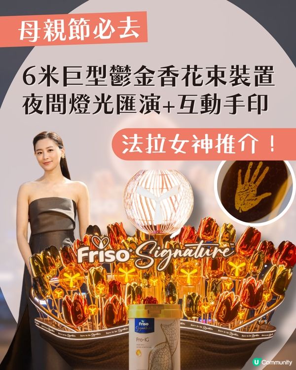 【母親節必去】全港首個6米高巨型鬱金香花束🌷打卡一流！