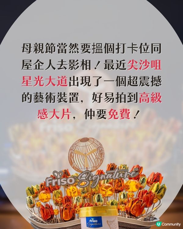 【母親節必去】全港首個6米高巨型鬱金香花束🌷打卡一流！