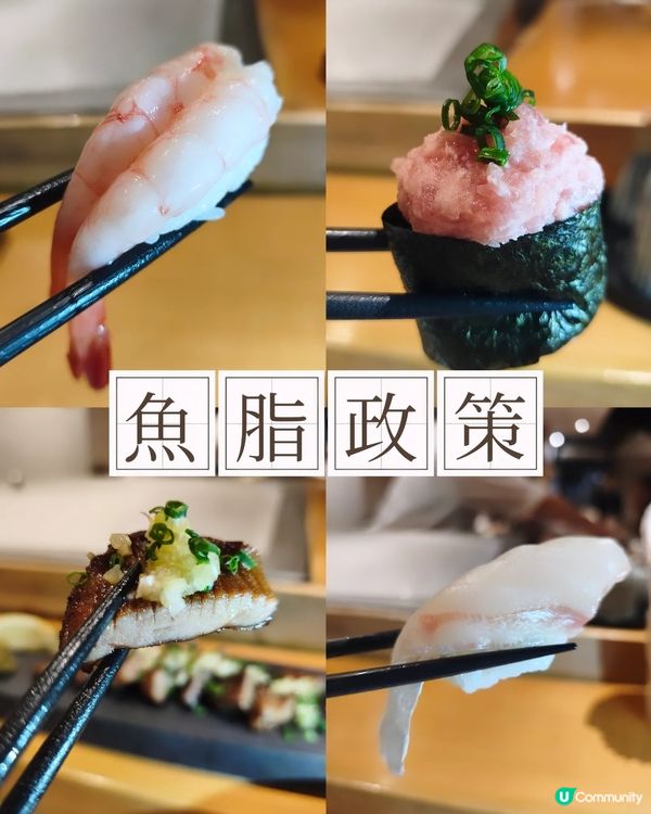 魚脂政策🐟 - 鮨政
