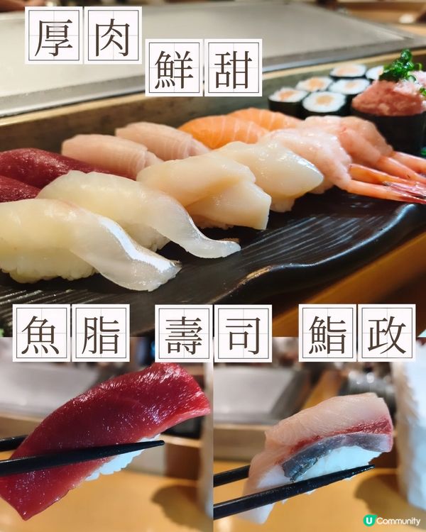 魚脂政策🐟 - 鮨政