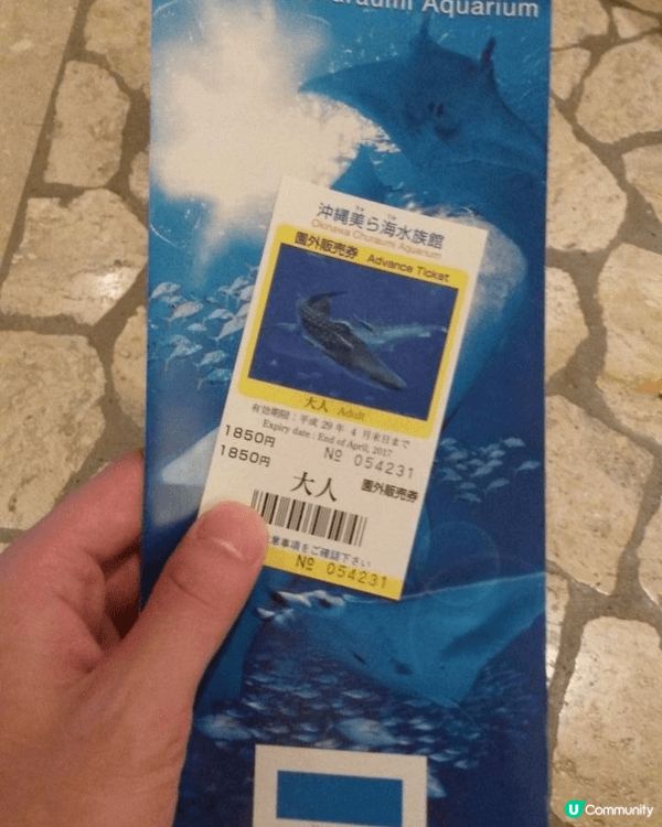 沖繩必打卡！沖繩美麗海水族館，全球最大級別嘅巨型水族館！