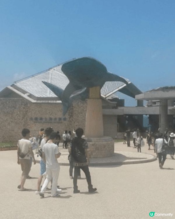 沖繩必打卡！沖繩美麗海水族館，全球最大級別嘅巨型水族館！