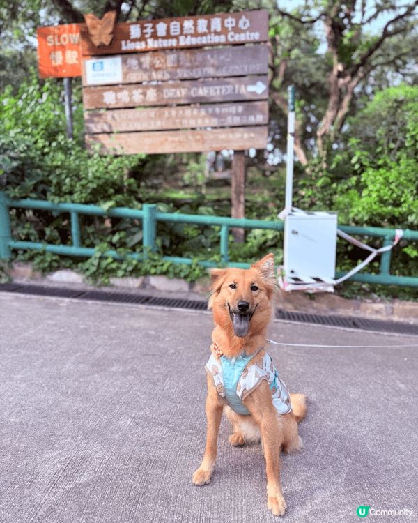 #港Moon周圍遊 