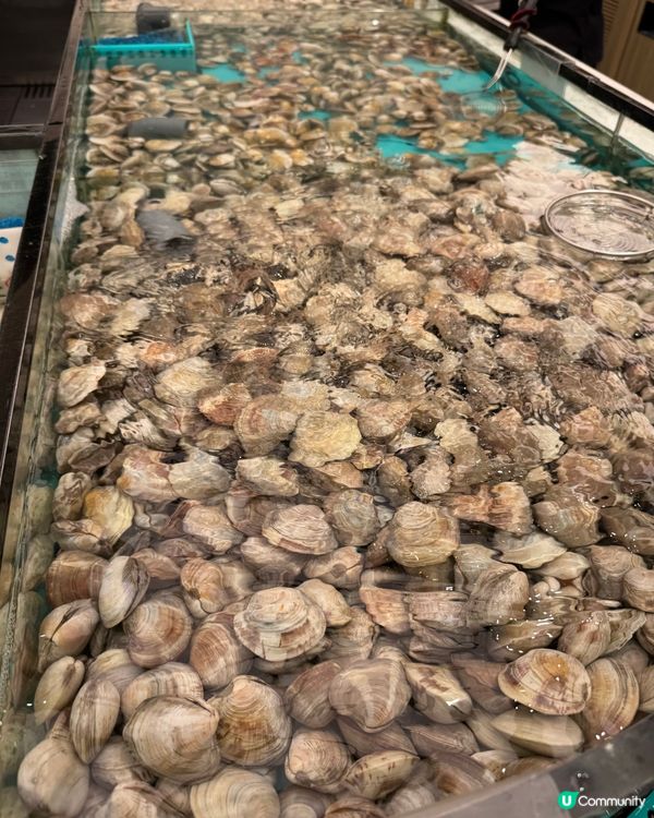 撈海鮮 放題