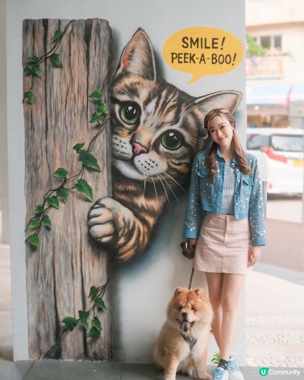 主子去赤柱！🐶🐱壁畫、美利樓📸