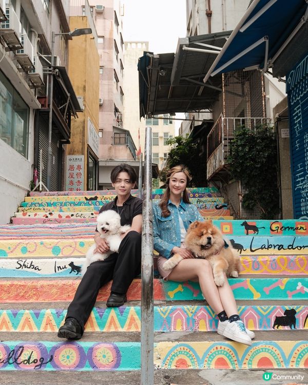主子去赤柱！🐶🐱壁畫、美利樓📸