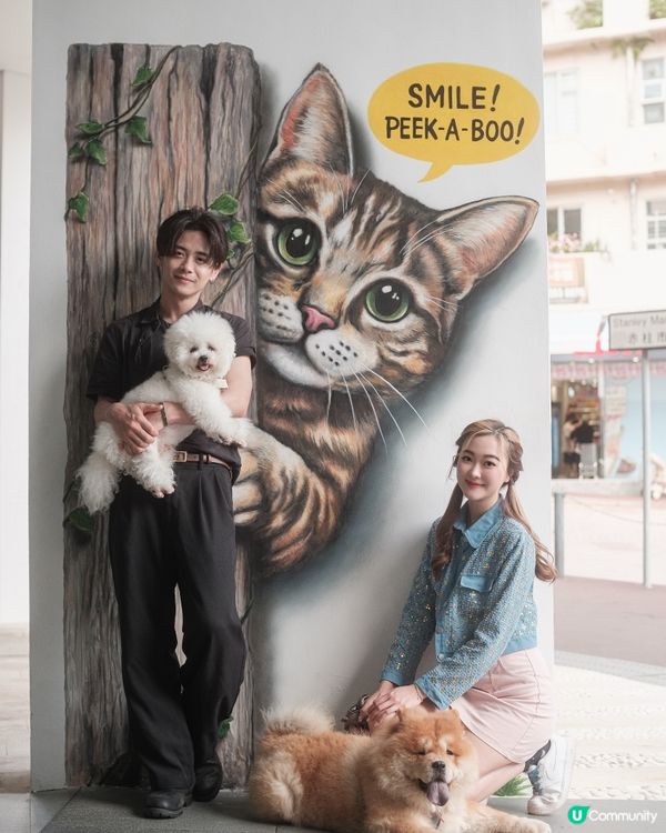 主子去赤柱！🐶🐱壁畫、美利樓📸