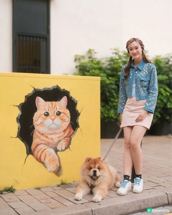 主子去赤柱！🐶🐱壁畫、美利樓📸