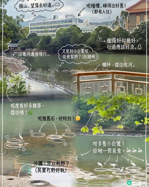 【同小朋友一齊探索大圍歷史🌿】  