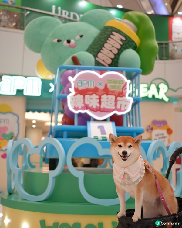 🩷當Nana遇上Wasabi Bear💚