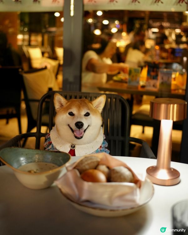🐶著靚靚去酒店食晚餐🏨