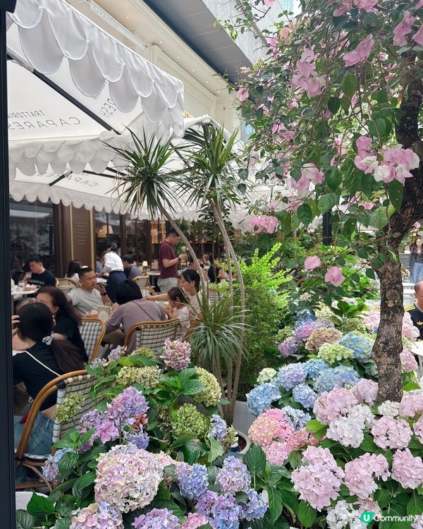 南山新開綱紅意大利Cafe 