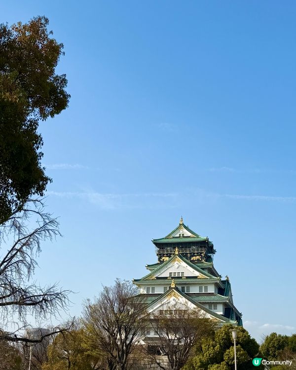 大阪城櫻花