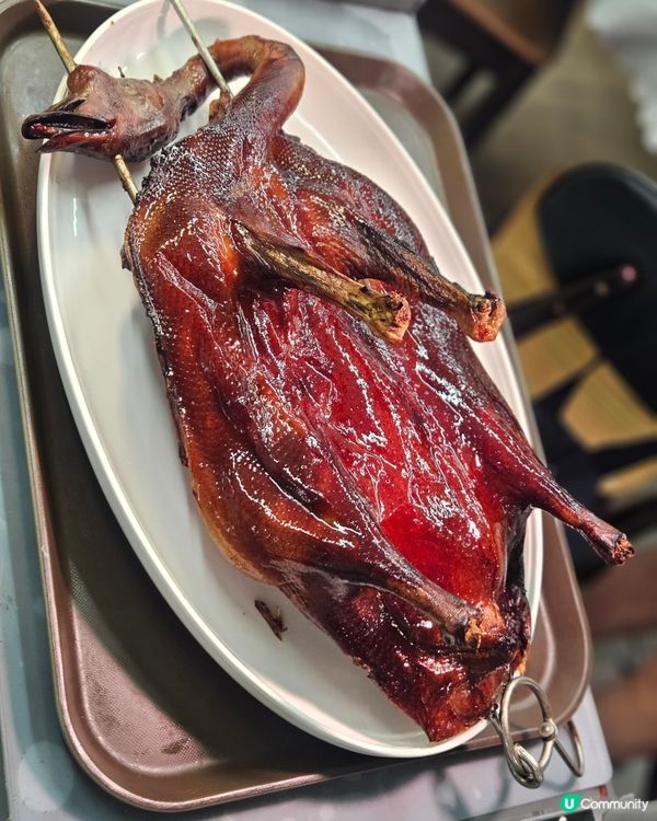 母親節就到，諗到同媽咪去邊度慶祝未？一於去（襟江酒家）啦！呢...