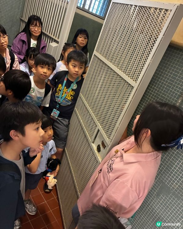 狗仔伴你導賞流浮山