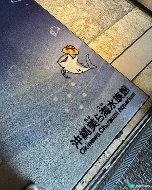 沖繩親子必去美麗海水族館🐟🫍🩵