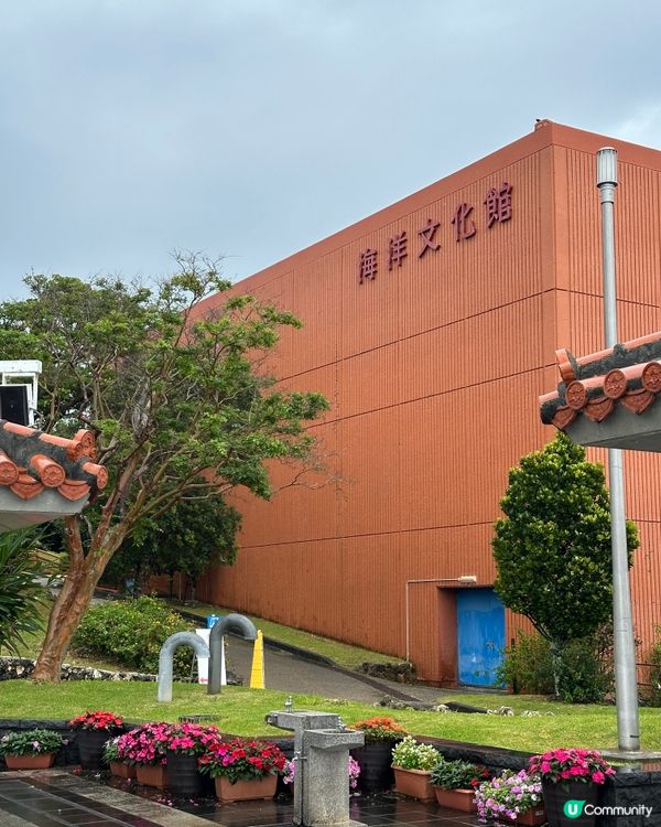 沖繩親子必去美麗海水族館🐟🫍🩵
