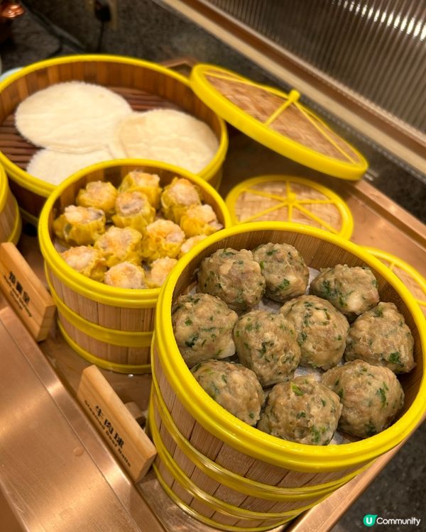 放題喺荃灣開咗🤩 $任食龍蝦拖羅！