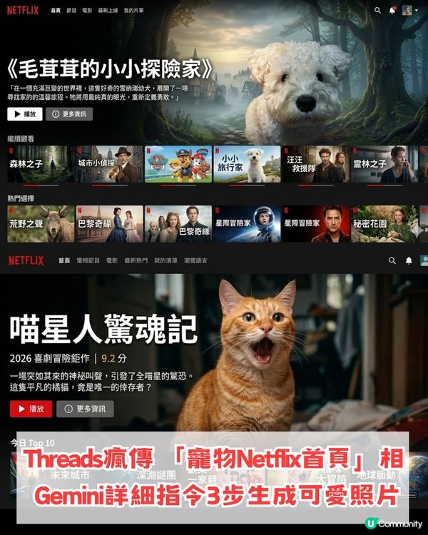 【AI教學】免費製作寵物Netflix首頁！簡單3步即可生成！附AI指令