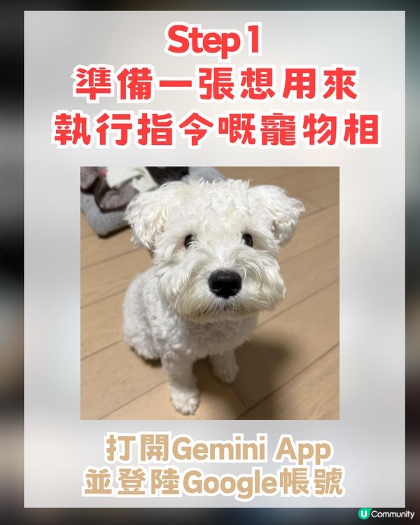 【AI教學】免費製作寵物Netflix首頁！簡單3步即可生成！附AI指令
