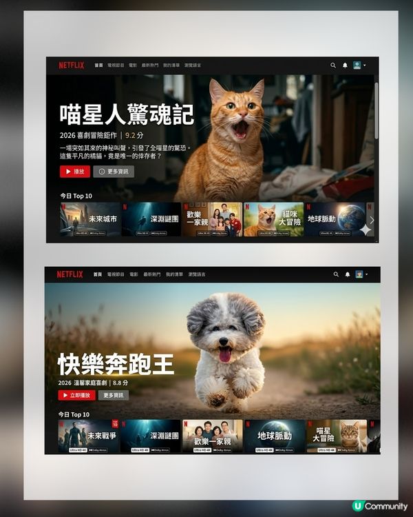 【AI教學】免費製作寵物Netflix首頁！簡單3步即可生成！附AI指令
