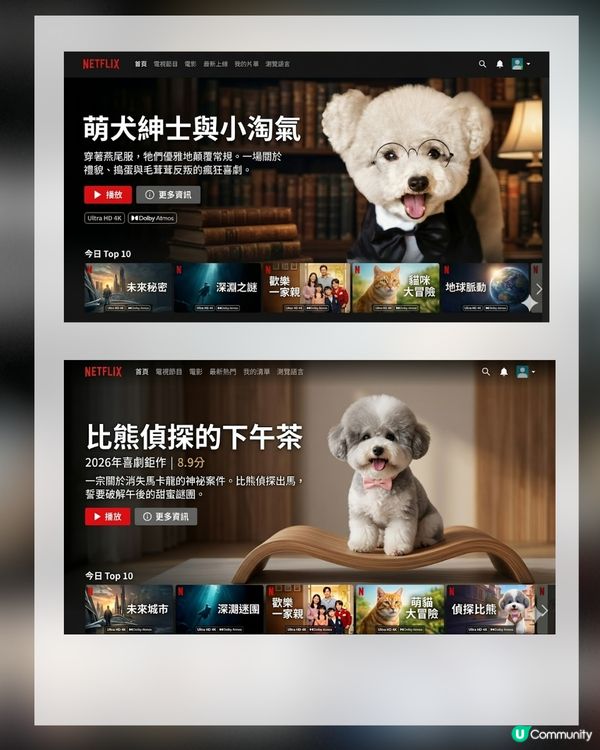 【AI教學】免費製作寵物Netflix首頁！簡單3步即可生成！附AI指令