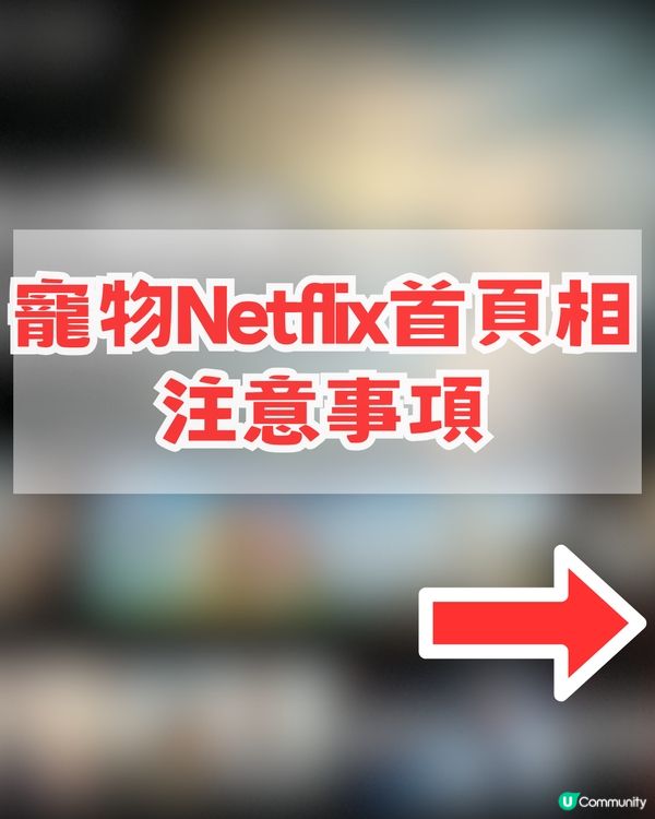 【AI教學】免費製作寵物Netflix首頁！簡單3步即可生成！附AI指令