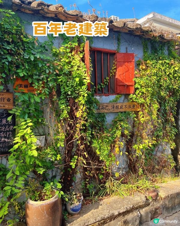 珠海「小墾丁」隱世秘島1日遊📍 呢度先係真正慢活！追日落/環島遊/親親大自然