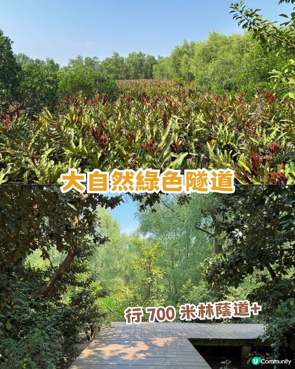 珠海「小墾丁」隱世秘島1日遊📍 呢度先係真正慢活！追日落/環島遊/親親大自然