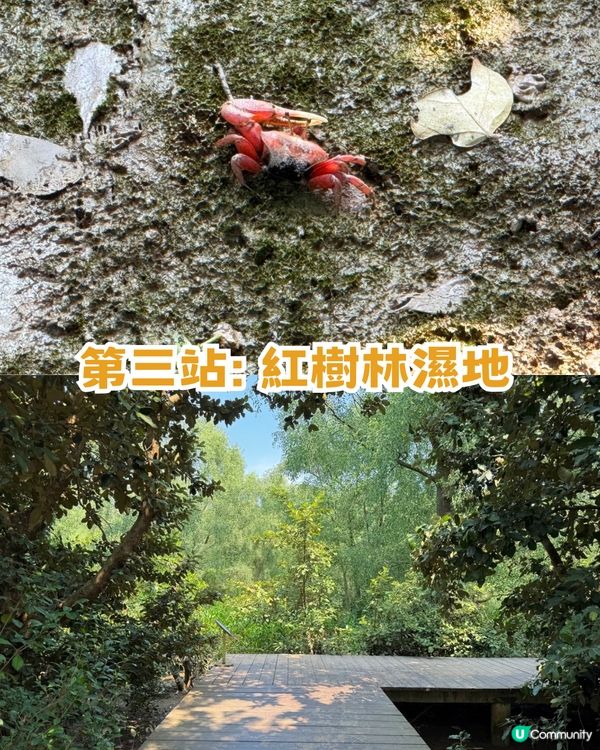 珠海「小墾丁」隱世秘島1日遊📍 呢度先係真正慢活！追日落/環島遊/親親大自然