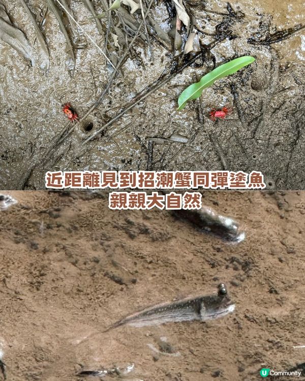 珠海「小墾丁」隱世秘島1日遊📍 呢度先係真正慢活！追日落/環島遊/親親大自然