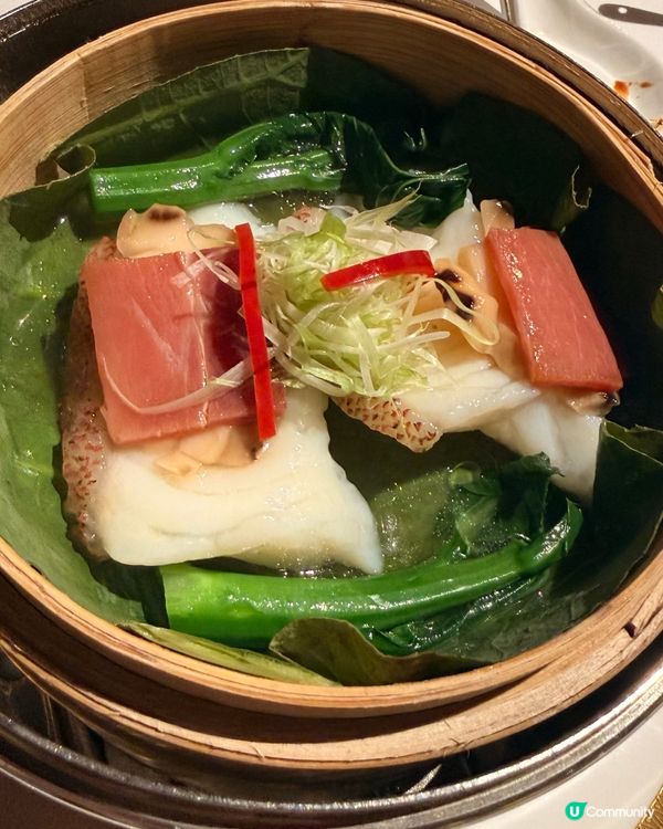 米芝蓮叉燒🍮唐閣食到唔捨得走！