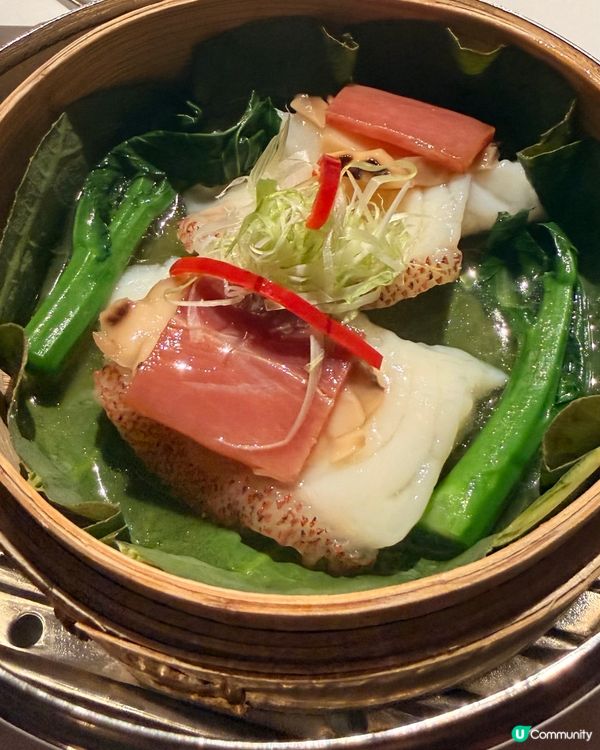 米芝蓮叉燒🍮唐閣食到唔捨得走！