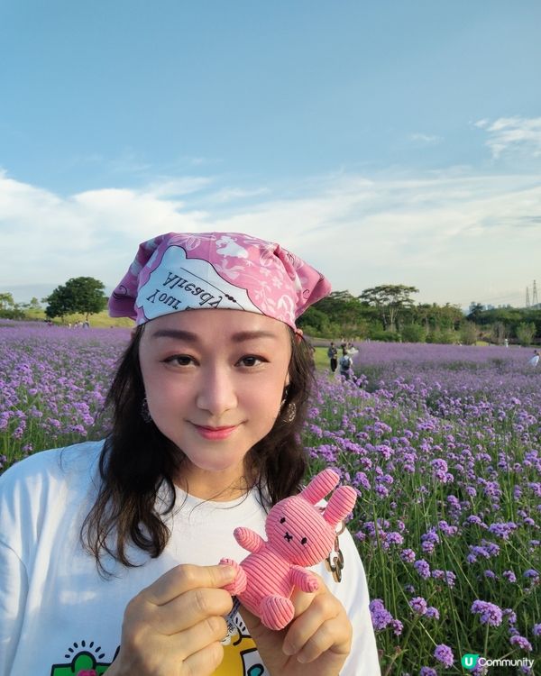 🪻我愛花花之紫色夢幻登場！ 💜 陌上花海浪漫之旅 💟