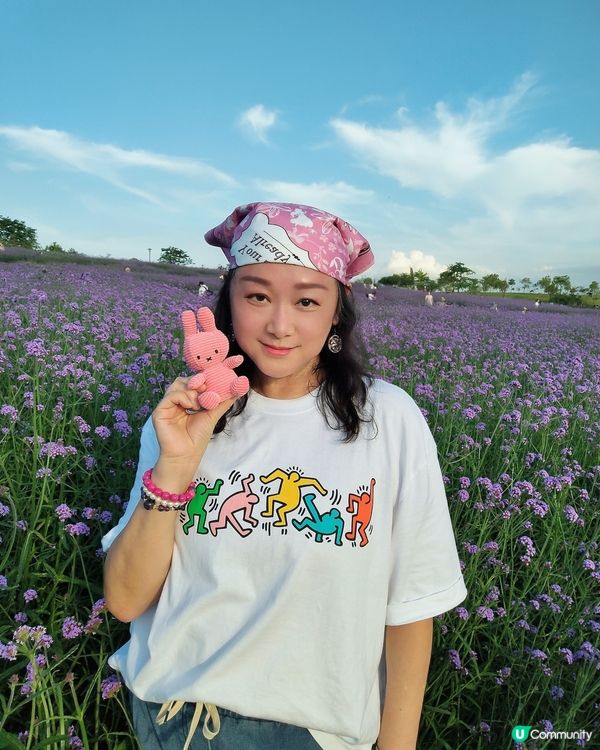 🪻我愛花花之紫色夢幻登場！ 💜 陌上花海浪漫之旅 💟