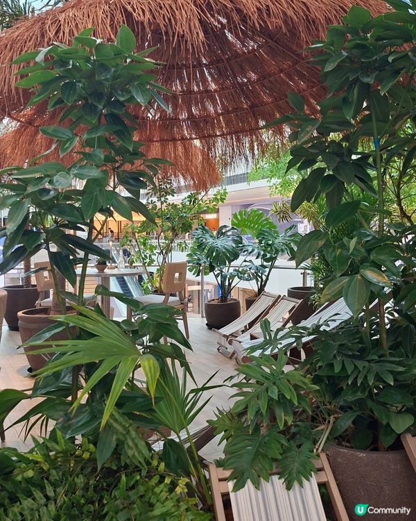 深圳📍美食 | 花藝主題打卡餐廳 打造高級餐飲空間