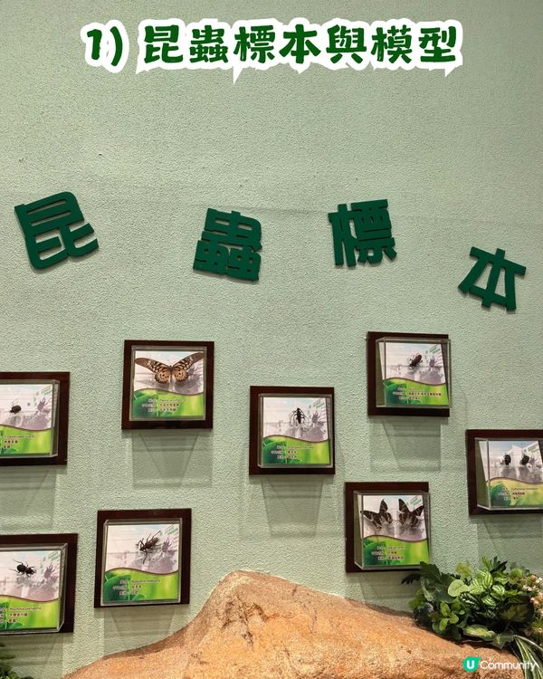 香港隱世博物館！大埔海濱公園昆蟲屋$0入場睇模型、玩遊戲 小朋友睇到唔捨得走？   ✨😁