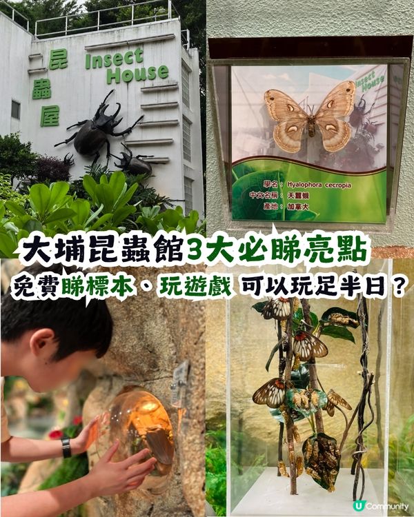 香港隱世博物館！大埔海濱公園昆蟲屋$0入場睇模型、玩遊戲 小朋友睇到唔捨得走？   ✨😁