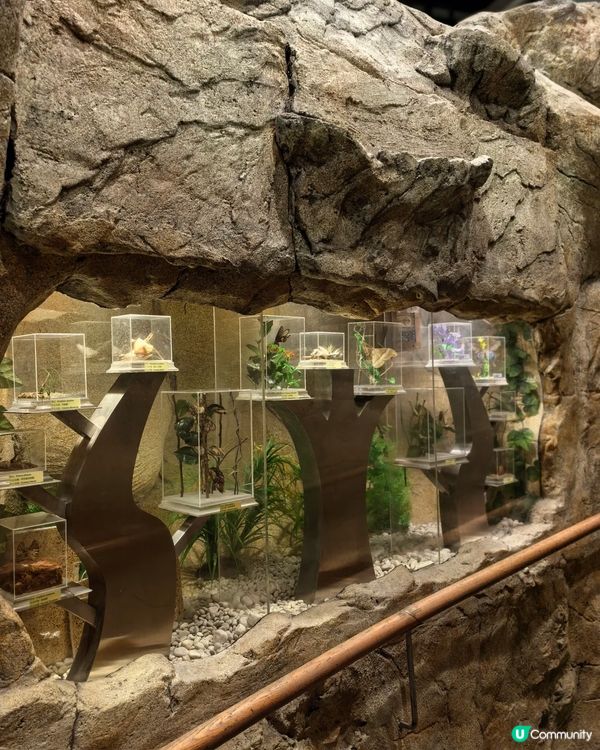 香港隱世博物館！大埔海濱公園昆蟲屋$0入場睇模型、玩遊戲 小朋友睇到唔捨得走？   ✨😁