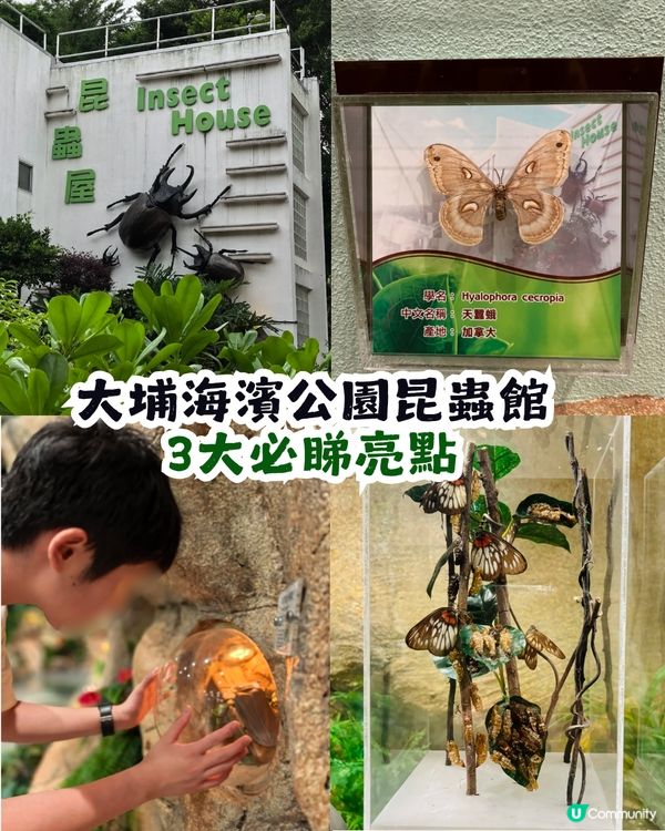 香港隱世博物館！大埔海濱公園昆蟲屋$0入場睇模型、玩遊戲 小朋友睇到唔捨得走？   ✨😁